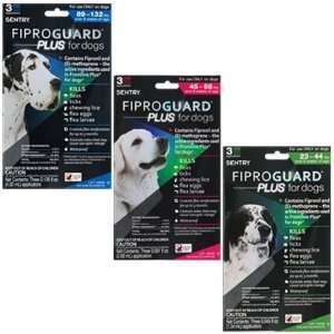  FiproGuard Plus Cat 12pk Flea & Tick