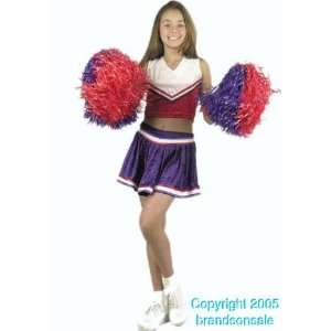  Kids Cheerleader Costume (SizeX large 12 14) Toys 