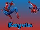 Kids Personalized Spiderman Placemat Custom Any Name 10 x 16 Poly 