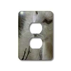   cats, cute, pet, pet portrait, tuxedo   Light Switch Covers   2 plug