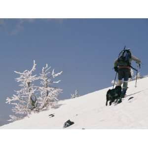  Cross Country Skiing in the San Francisco Peaks Stretched 