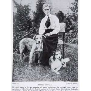  Edith Cavell, from The History of the Nation Premium 