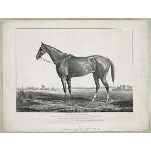   Garrett Davis by Glencoe, dam by Sir Leslie 1854