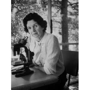 Biologist/Author Rachel Carson Sitting at Microscope to Examine Tissue 