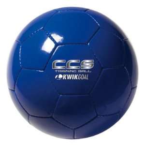 Soccer Training Ball