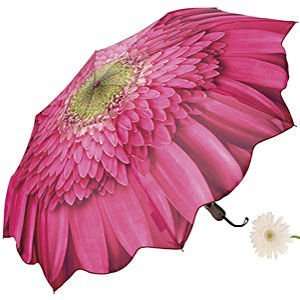  Pink Gerbera Daisy Umbrella 