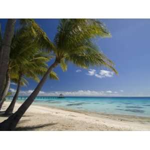  Fakarawa, Tuamotu Archipelago, French Polynesia, Pacific 