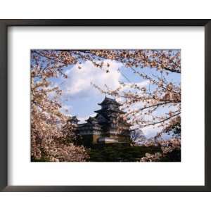  Himeji Jo Castle and Cherry Blossom, Himeji, Japan Framed 