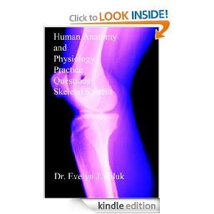 Human Anatomy and Physiology Practice Questions Skeletal System Dr 
