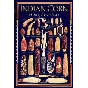  Indian Corn of the Americas (Black) by Mark Miller   36 x 