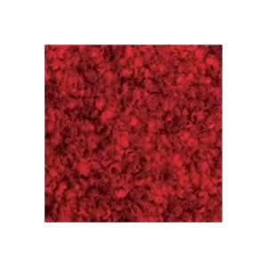   Indoor 3 x 10 FT Slip Resistant Entrance Floor Carpet Mat (Regal Red