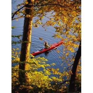  Woman Kayaking with Fall Foliage, Potomac River, Maryland 