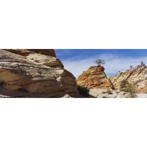 Rock Formations on a Landscape, Zion National Park, Utah, USA Premium 