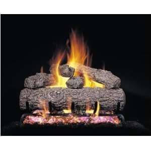  Propane Gas Log Set W/ G4 Burner And Variable Flame Remote Home