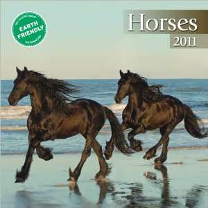  Horses 2011 Mini Wall Calendar