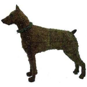  39 Doberman Topiary Frame with moss