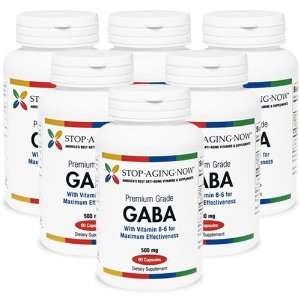  GABA WITH VITAMIN B6   500 mg. (6 Pack) Premium Grade  90 