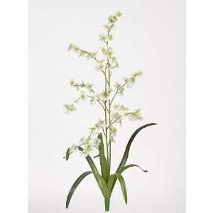   CALA 4270416 Dancing Lady Silk Orchid Flower  6 Stems