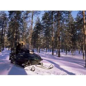 Woman Driving Snowmobile Near Lulea, Lapland, Sweden, Scandinavia 