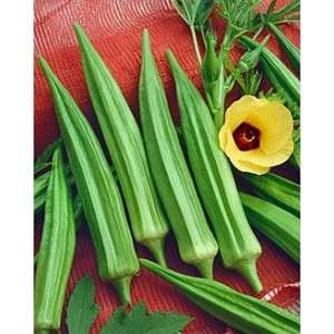 Okra, Clemson Spineless non GMO Heirloom 50 vegetable seeds  