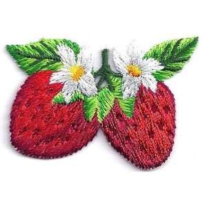   Blossoms Embroidered Iron On Applique/Food, Desserts 