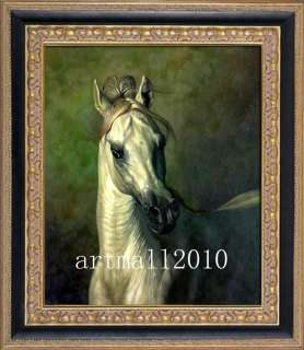 Sale great wild animal oil painting Horse  