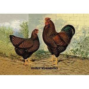  Vintage Art Golden Wyandottes   05632 0