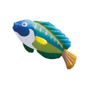   Goy Giant Inflatable Peacock Wrasse   Line Laundry Kite. Toys & Games